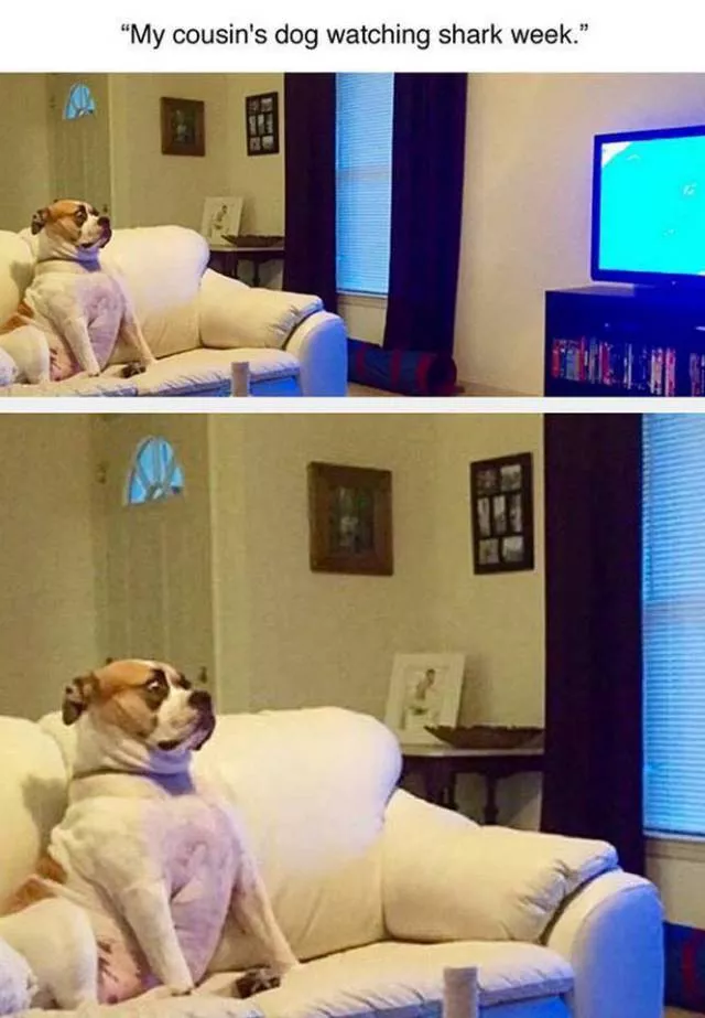 Picdump 25 - #67 