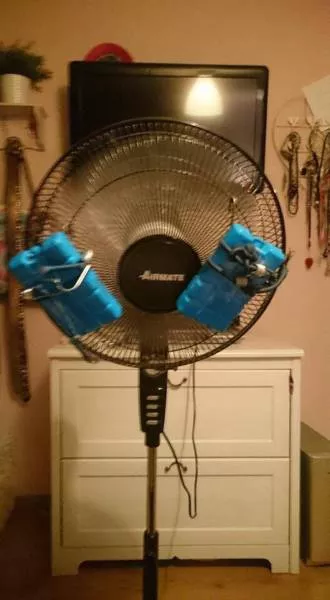 Picdump 178 - #11 