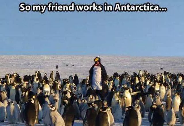 Picdump 178 - #13 