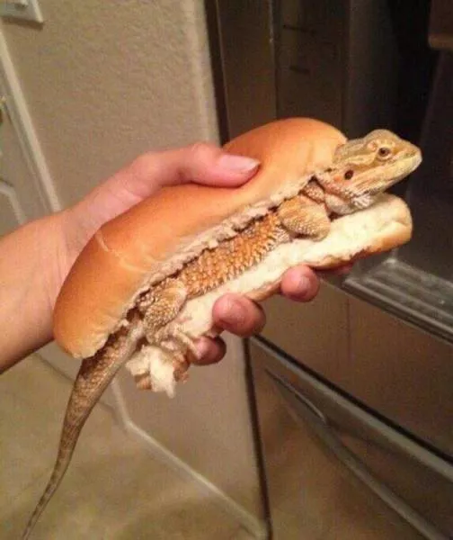 Picdump 178 - #18 