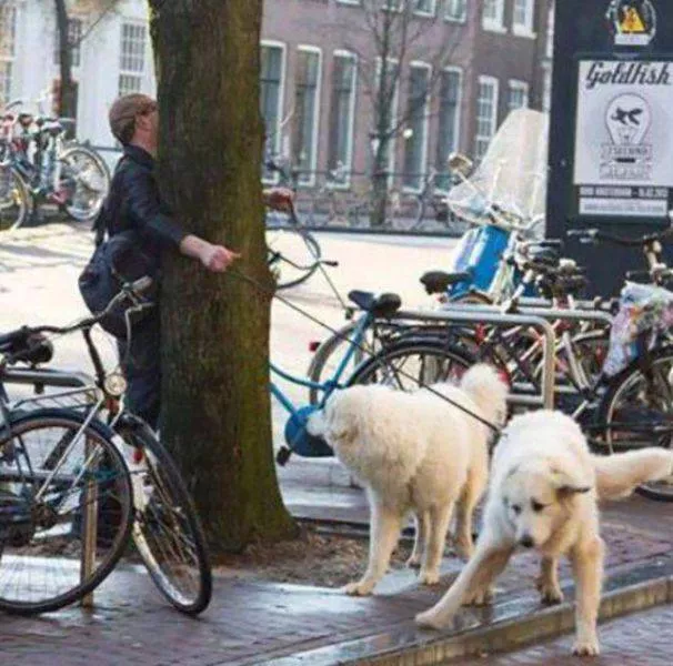 Picdump 178 - #25 