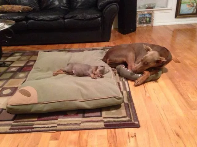 Picdump 178 - #35 