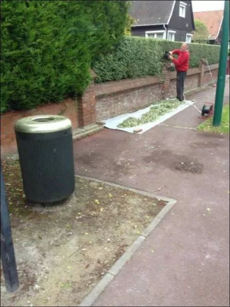 Picdump 178 - #37 
