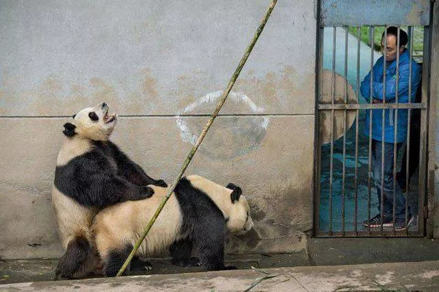 Picdump 178 - #46 