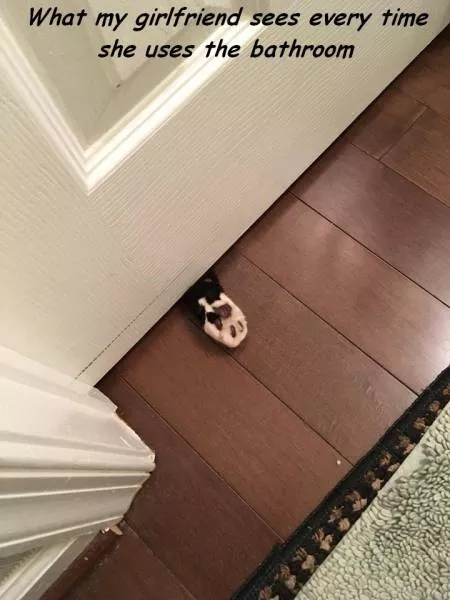 Picdump 178 - #60 