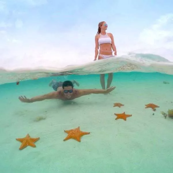 A selection of the most beautiful photos of the net