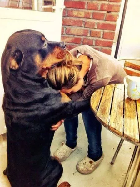 Une selection des plus belles photos du net - #28 
