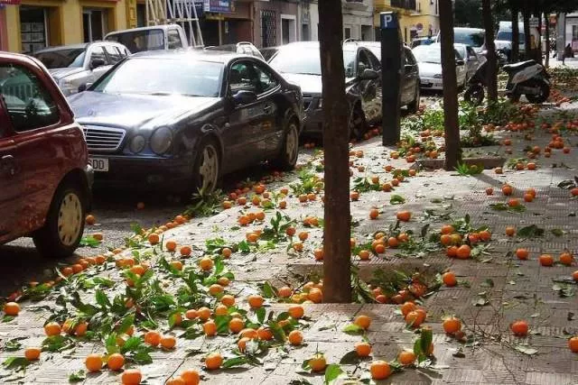 Picdump 179 - #18 