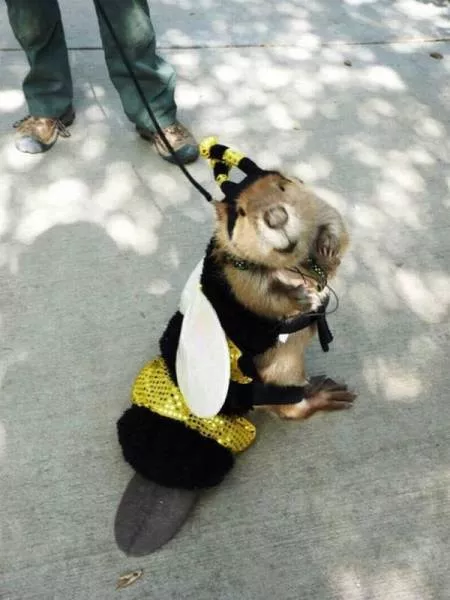 Picdump 179 - #42 