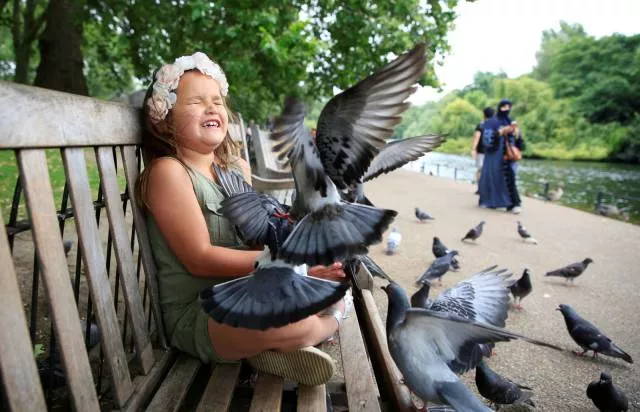 Picdump 179 - #60 