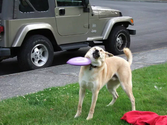 43 perfectly timed photos - #27 