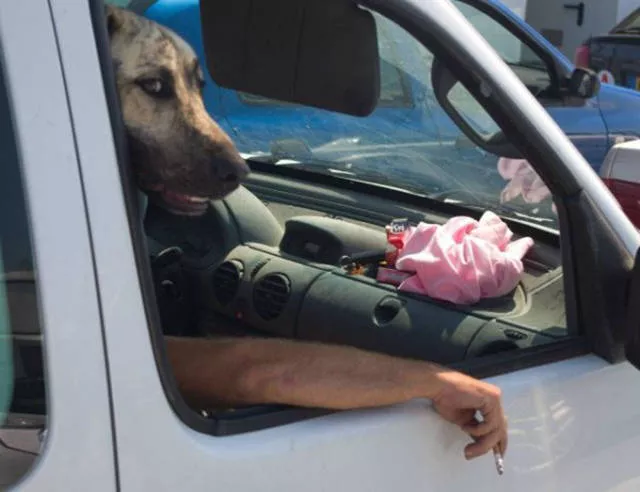 43 perfectly timed photos - #4 
