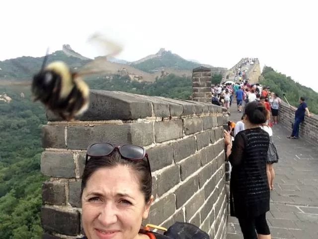 43 perfectly timed photos - #41 