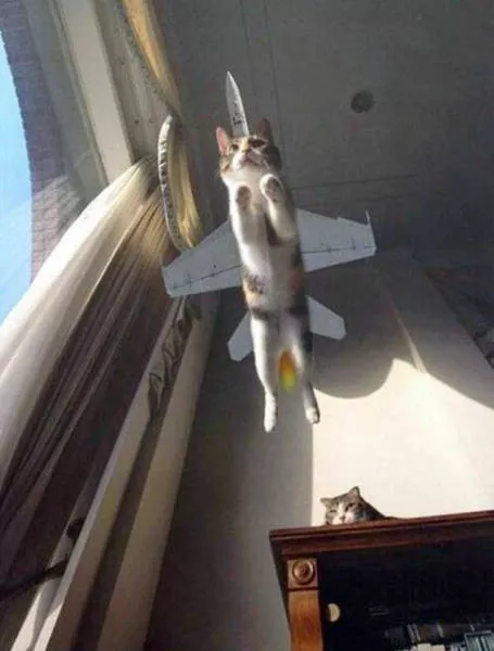 43 perfectly timed photos - #8 