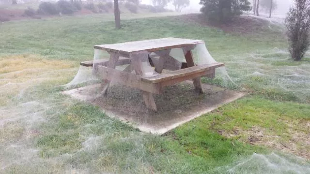 43 of the most epic wtf pictures - #11 