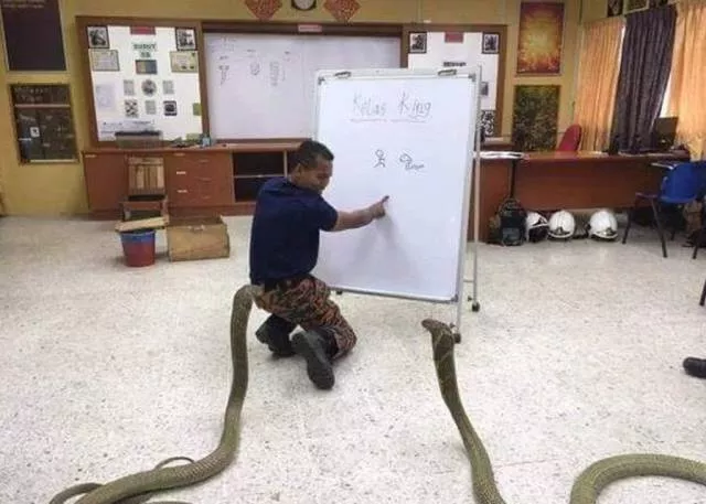 43 of the most epic wtf pictures