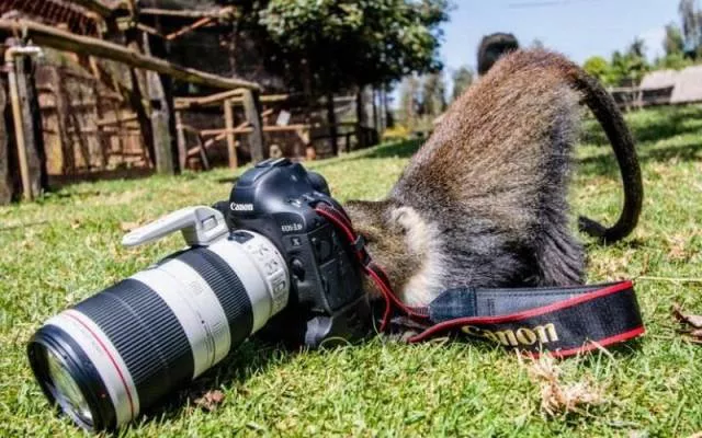 Picdump 180 - #37 