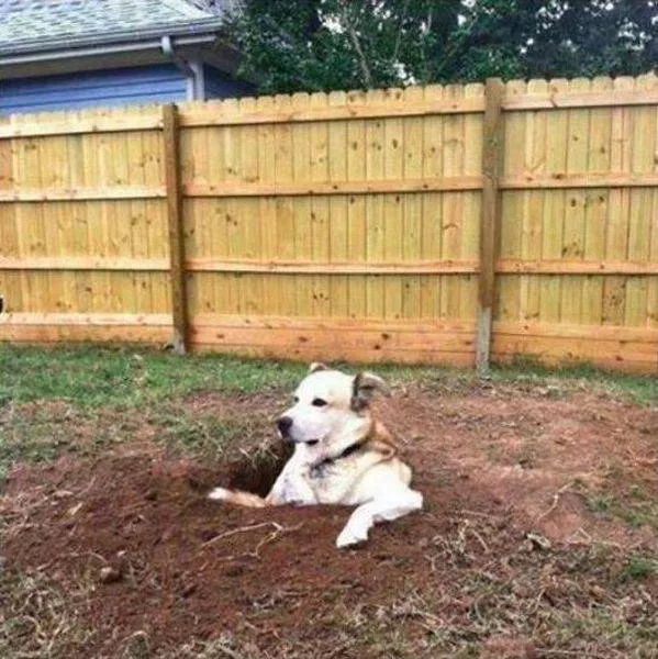 Picdump 180 - #44 
