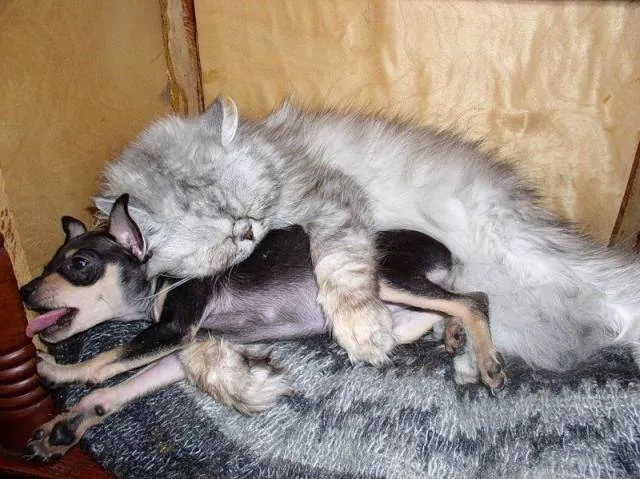 Picdump 180 - #65 