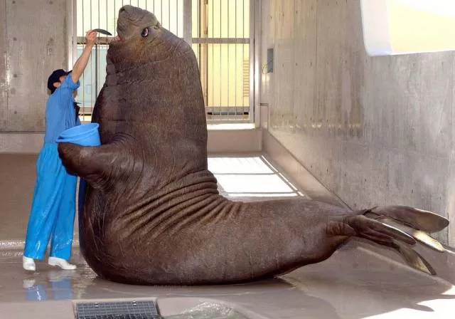 Picdump 180 - #75 