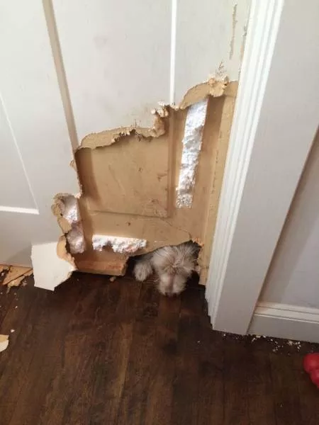 Picdump 180 - #78 
