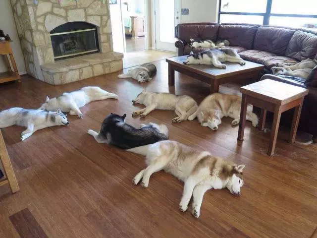 Picdump 180 - #82 