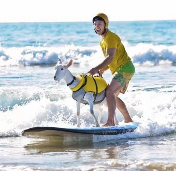 Picdump 180 - #88 