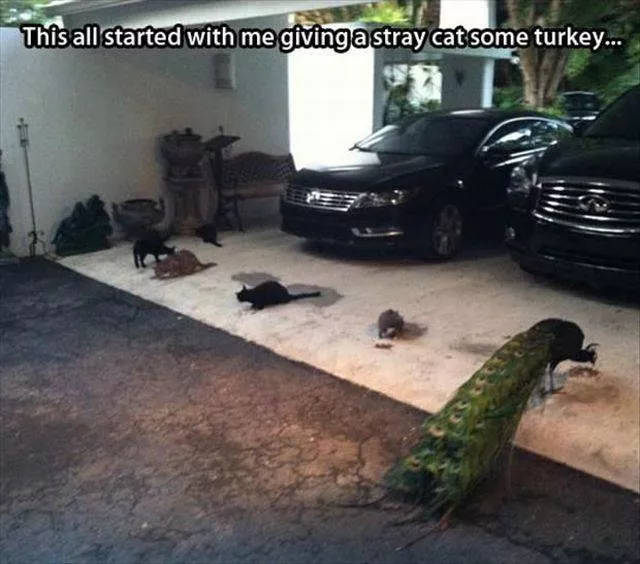 Picdump 180 - #97 