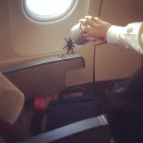 Reasons not to fly on planes - #13 