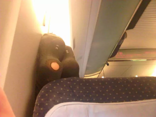 Reasons not to fly on planes - #16 
