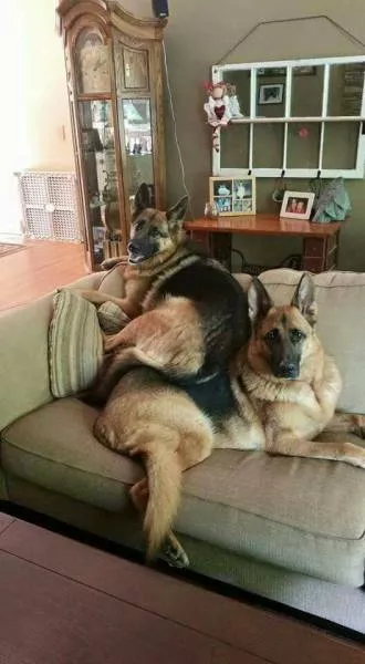 Picdump 181 - #10 