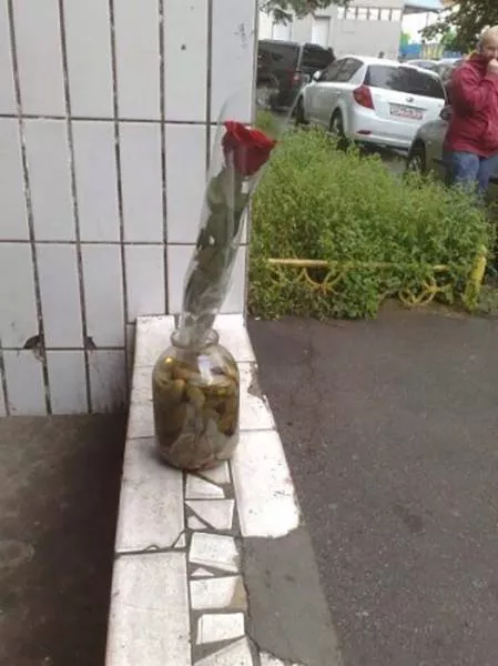 Picdump 181 - #11 