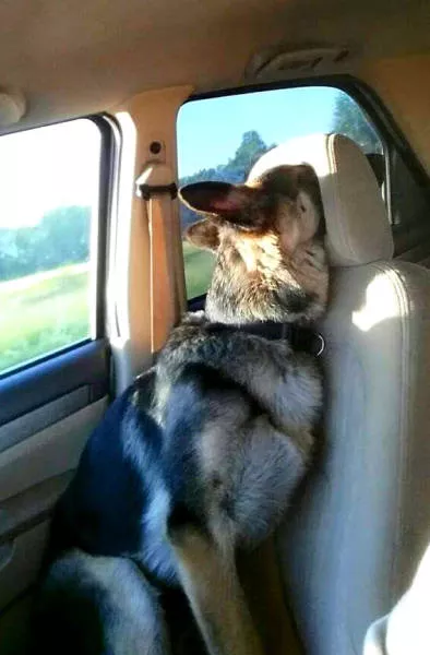 Picdump 182 - #23 