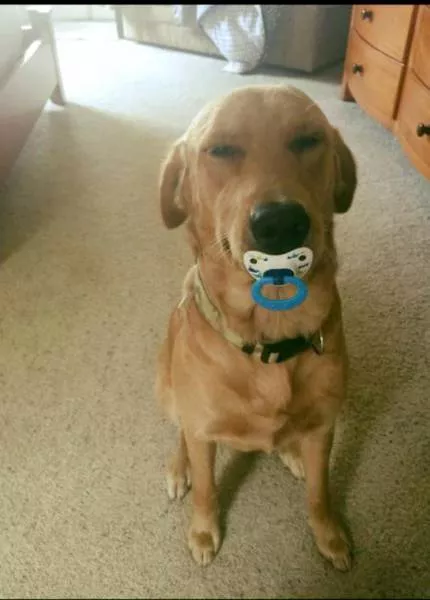 Picdump 182 - #71 