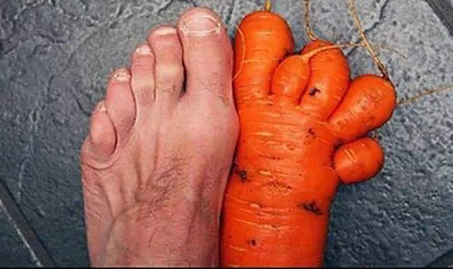 Picdump 182 - #73 