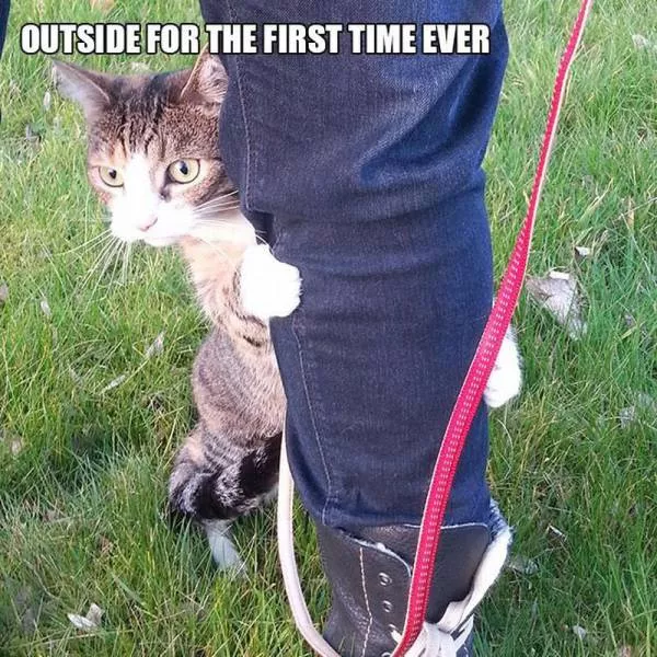Picdump 183 - #111 