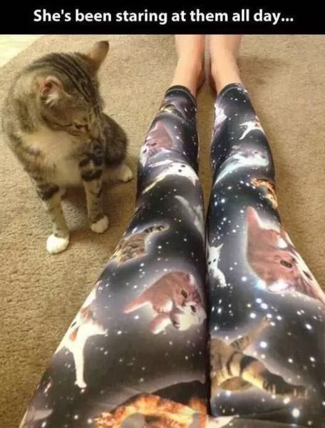 Picdump 183 - #123 