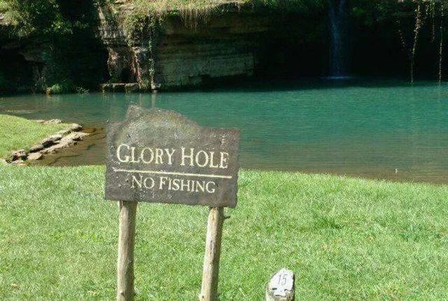 Picdump 183 - #125 