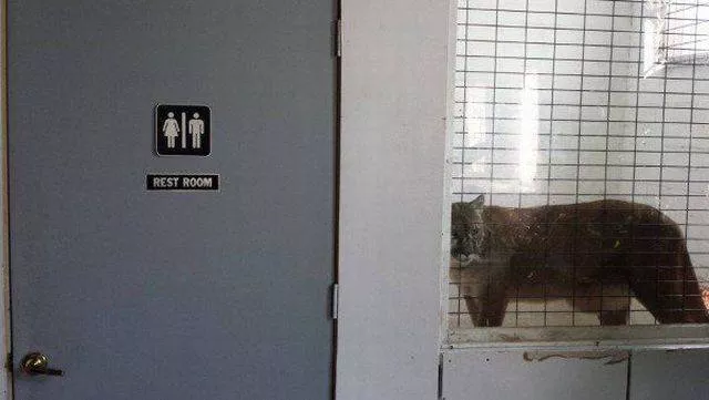 Picdump 183 - #14 