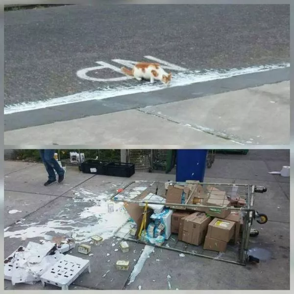 Picdump 183 - #25 