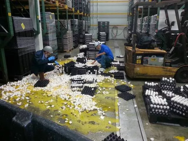Picdump 183 - #32 