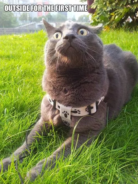 Picdump 183 - #36 