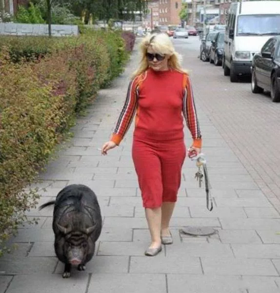 Picdump 183 - #4 