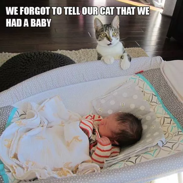Picdump 183 - #41 