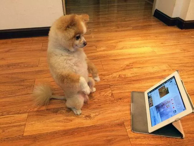 Picdump 183 - #5 