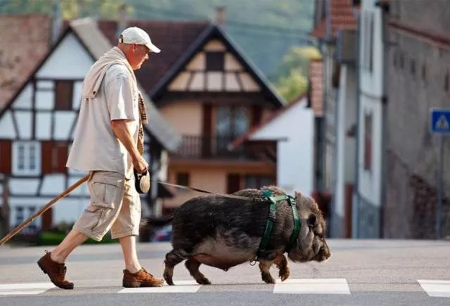 Picdump 183 - #50 