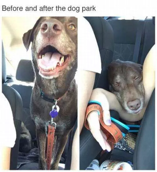 Picdump 183 - #9 