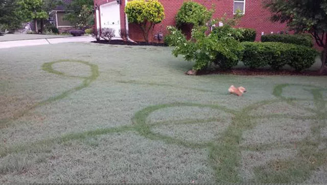 Picdump 184 - #10 