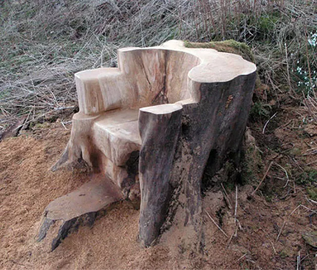 Picdump 184 - #13 