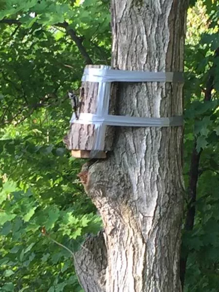 Picdump 184 - #17 